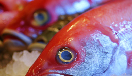Why is Japanese fish the most delicious in the world? The surprising secret of freshness revealed!