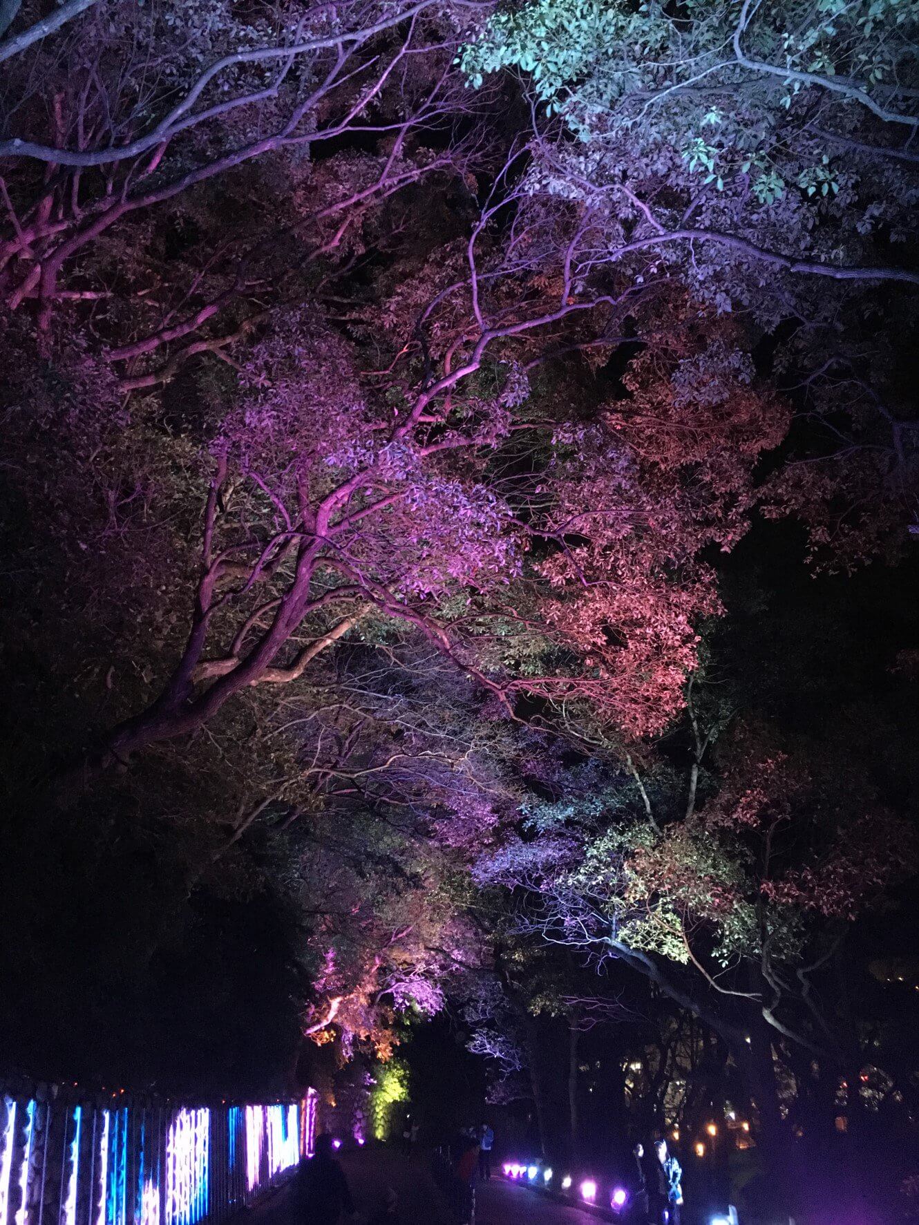 須磨浦公園・須磨浦山上遊園・須磨観光ハウスの様子