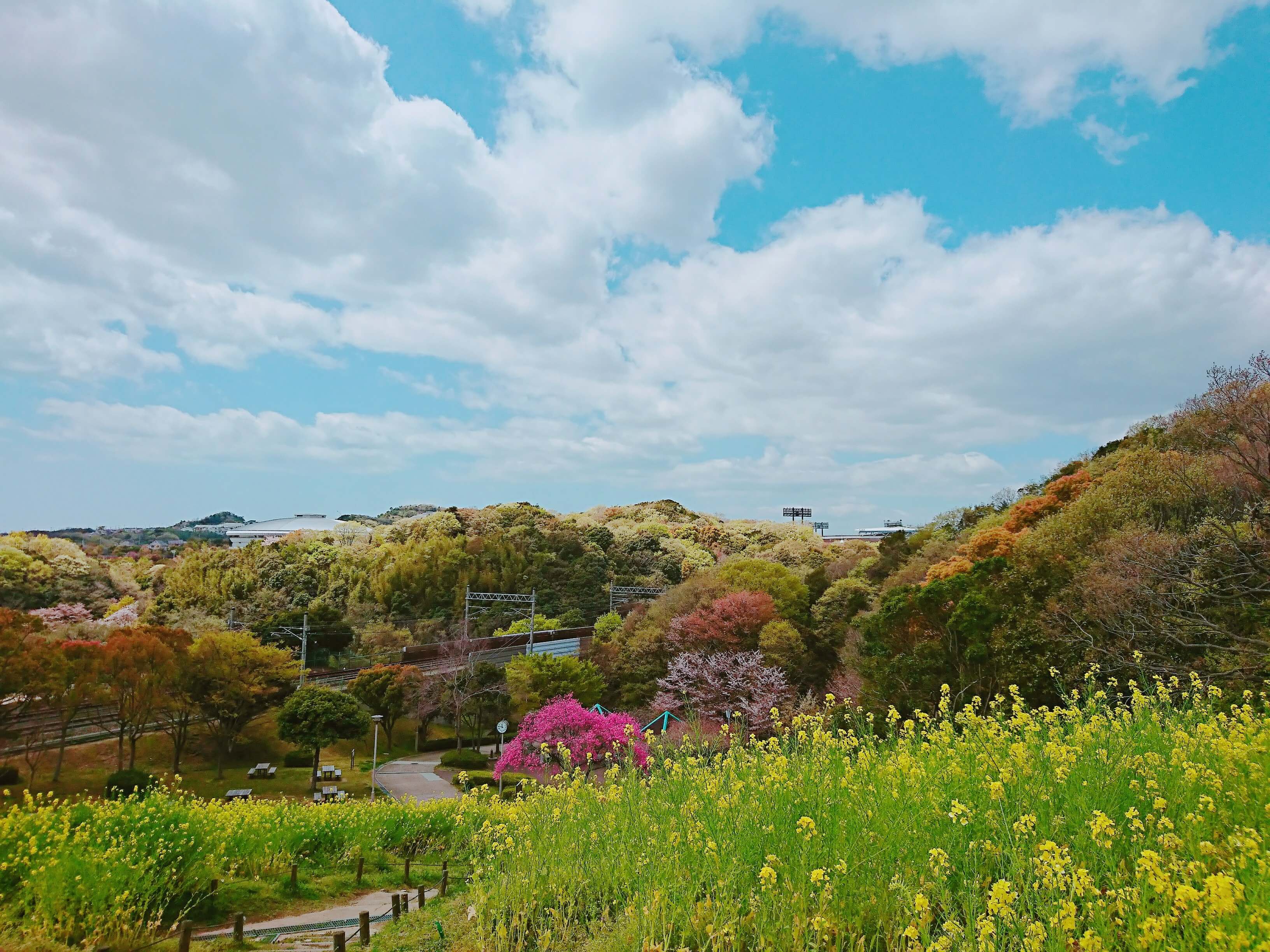 総合運動公園のエスパスフェリシモ