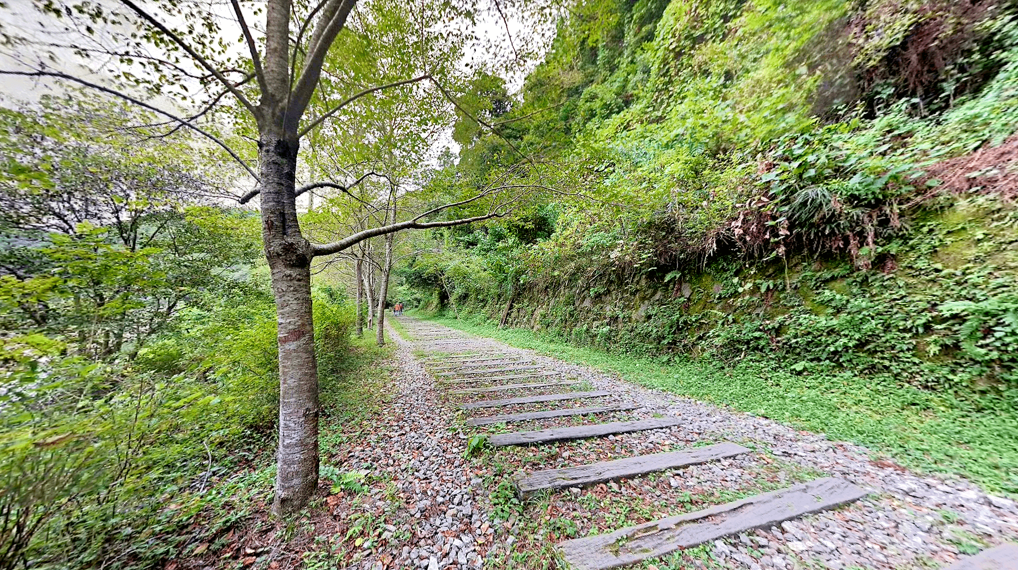 武田尾廃線敷の長尾山第2トンネル出口